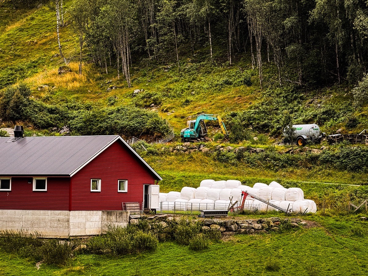 Same View, New Day – Episode 4: Skjolden: Where the Fjord Meets My Familiar Frame